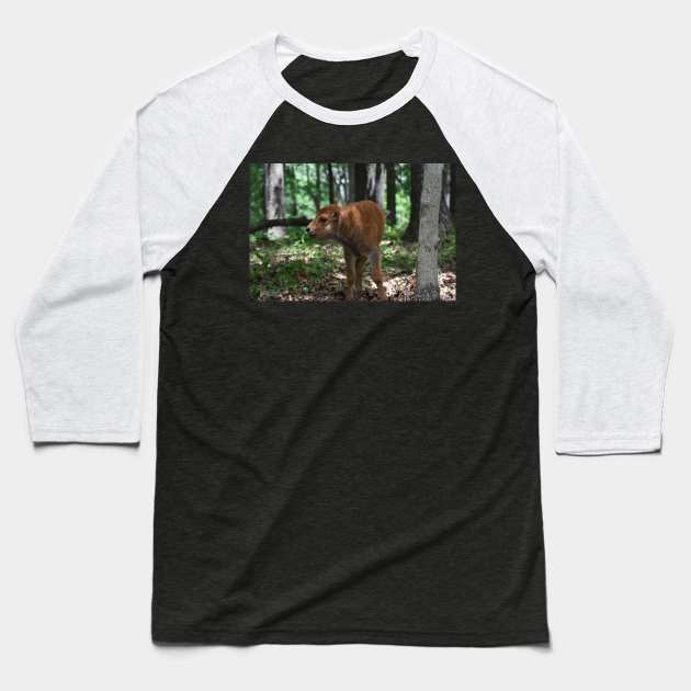 Bison Calf Baseball T-Shirt by MarieDarcy